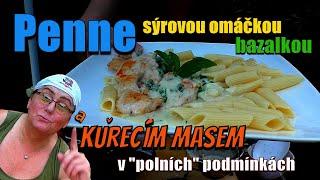 Penne sýrovou omáčkou, bazalkou a kuřecím masem