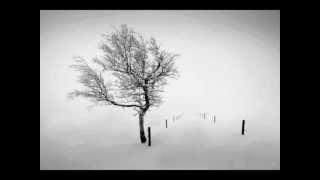 Einsamtod - Misantrophic Purity