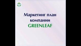 Маркетинг ПЛАН Greenleaf с расчетами (новая МЛМ корпорация - читает Лидер нашей команды)