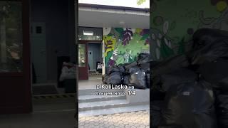  Благотворительный проект KaliLaska(Минск,ул.Ольшевского,1/4) координаты GPS: 53.912805, 27.505361
