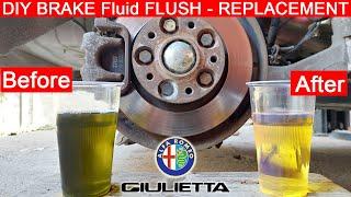 DIY BRAKE FLUID FLUSH - Replacement INTERVAL, HOW, WHY, 1&2 Person Method