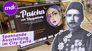 WER ist der PASCHA von Magdeburg? | Nachrichten Kompakt