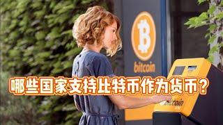 哪些国家支持比特币作为货币？Which countries support Bitcoin as a currency?