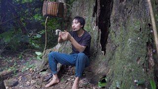 Choose The Best Place To Shelter - Hunger, Cold, Give Up The Survival Challenge| Sumatra's Instincts