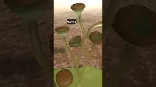 5 extinct plants #shorts #facts