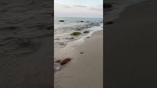 Сила моря  #shots #калининградскаяобласть #море #моменты #медитация #душа