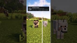 BEST Texture Pack Minecraft #shorts