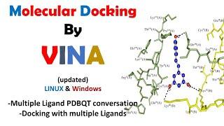 Molecular Docking VINA | Script Based Method | Multiple Ligand Docking