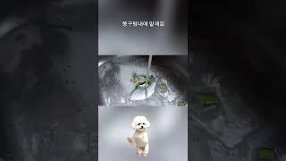 리빙쉐어 1+1 최저가 하수구트랩