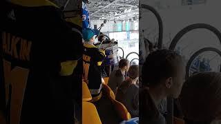 фан сектор хоккей