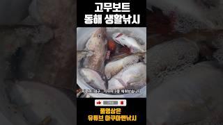 풍성한 동해생활낚시