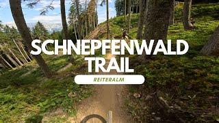 Schnepfenwald Trail Bikepark Reiteralm Schladming Austria full Run POV RAW