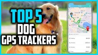 Best Dog GPS Trackers in 2024