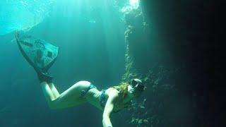 Freediving Best Moments 2024 - Bellissime immersioni in apnea - Mermading