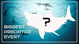 What's The Size Limit Of Sharks? Paleontology Analysis