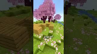 Never Go to the Cherry Blossom Biome in Minecraft! #shorts