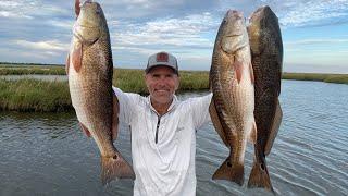 Light Tide, HEAVY Fishing Action! (Catch & Cook)