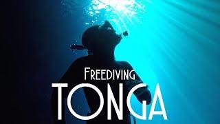 The SECRET WORLD of TONGA - Adventure 31 of Sailing Around the World