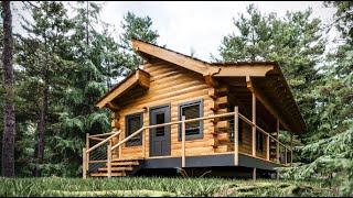 Log Cabin Building TIMELAPSE Built by ONE MAN (and Grandson)