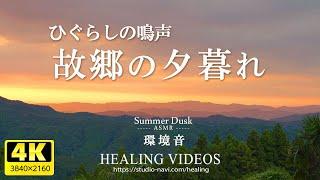 [Healing/ASMR] Dusk in my hometown/The sounds of cicadas