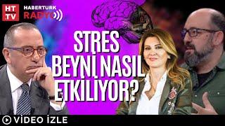 Teknolojinin Beyne Zararı Nedir? Stres Beyni Nasıl Etkiliyor? Karbonhidratın Beynimize Zararları