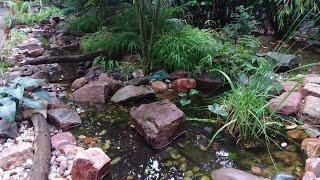 ASMR Japanese Zen Garden Creek