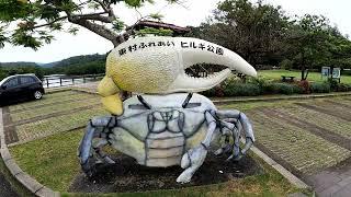 沖繩 東村紅樹林交流公園 (2024.06.02)