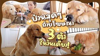 ป่วนสุด ๆ เจได ใจดี จุ๊มเหม่งถ่ายโฆษณา 3 ตัวในวันเดียว!l Japan and Friends