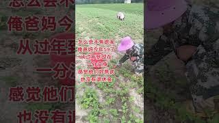 這裡是真實的農村鄉下，不勞動就沒有收入#記錄農村生活 #我的鄉村生活 #農村生活