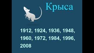 Год крысы, гороскоп составленный психологом Натальей Кучеренко.