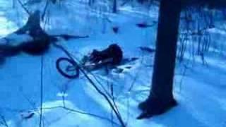 Idiots on wheels #2
