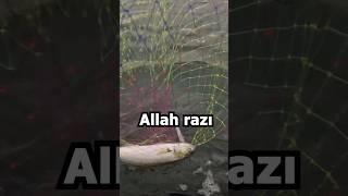 ÇILGIN LÜFER ! / Atçek Spin LRF Balık Avı / Lüfer Balık Avı