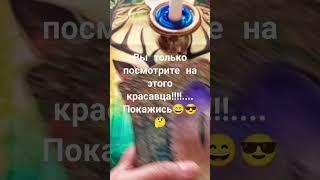 полное видео на канале #таро #отношения #tarot #вселенная #тароонлайн #конымироздания#взаимность#️