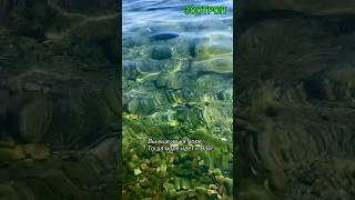 Одесса. Пляжи. Море. Чистейшая вода. Шум прибоя. Позитив. Украина. Чайки. Лето 2024. #зоотроп