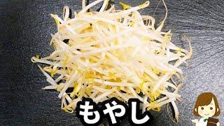 【超簡単！】○○するだけでいつもの『もやし炒め』がワンランクアップ本当に美味しい『もやし炒め』の作り方Stir-fried bean sprouts