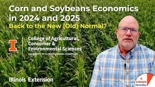 Corn and Soybeans Economics in 2024 and 2025: Back to the New (Old) Normal?