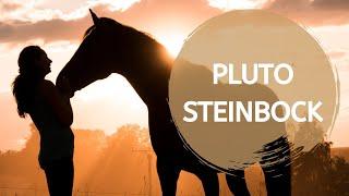 Pluto-Steinbock: Den Schatten des Kapitalismus beleuchten