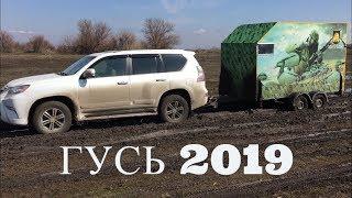 Охота на гуся 2019. Трейлер