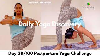 Day 28 Highlights | Daily Yoga Discovery | Yoga Challenge with Urmi Pandya #100dayswithurmipandya