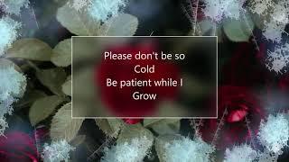 Jessie J Easy On Me Karaoke Instrumental W Lyrics