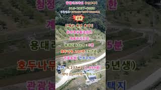 (급매) 인제군 북면 용대리 호두나무농장 계획관리지역 토지 1,899평 (협의가능)