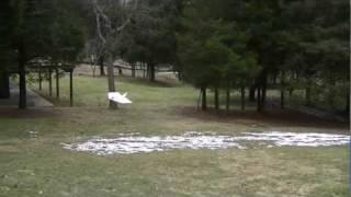 Testing Single Cell LIPO Power System on flat wing Dart 3mm Depron RC Plane