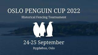 Oslo Penguin Cup 2022 | All Sabre And Rapier Finals | HEMA