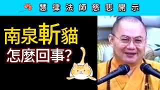 「南泉斬貓」怎麼回事？~ 慧律法師慈悲開示