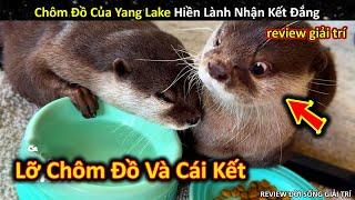 Mạo Hiểm Chôm Đồ Của Yang Lake Hiền Lành Nhận Kết Đắng || Review Giải Trí Đời Sống