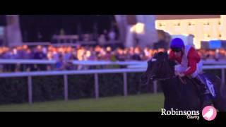 Visit Bawtry Race Day 2014 at Doncaster Racecourse