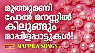 ഇഷ്ടമുള്ള മാപ്പിളപ്പാട്ടുകൾ | MALAYALAM  MAPPILA PATTUKAL | OLD  SONGS