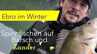 Ebro im Winter: Spinnfischen auf Barsch und Zander