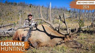 Monster Bull Walks Up to Me! Bow Hunting with Grizzlies and Wolves | Eastmans' Beyond the Grid