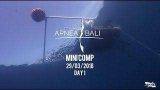 APNEA BALI // MINI COMP // DAY 1